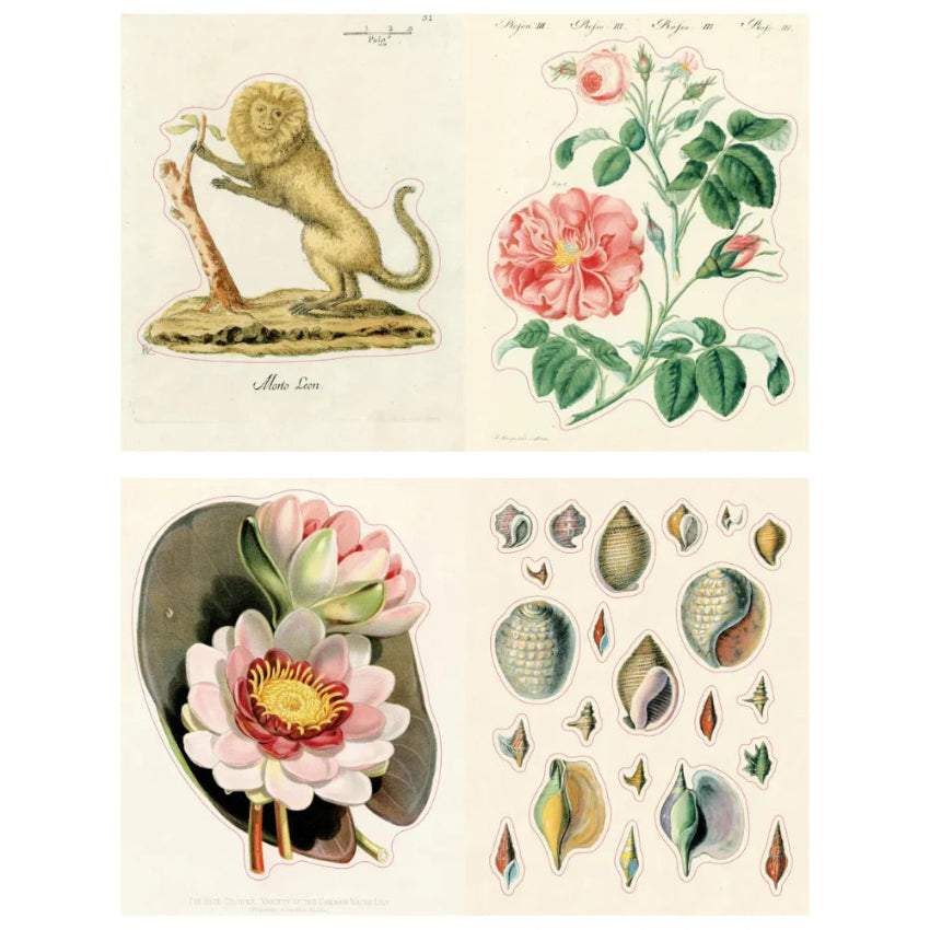 John Derian Sticker Book II – Paper and Grace