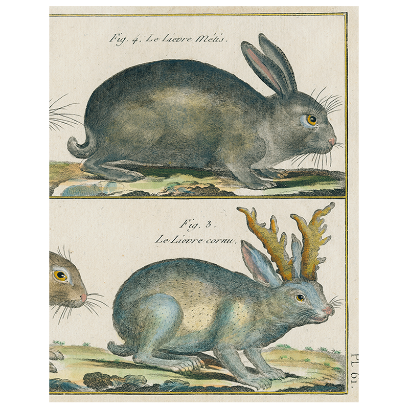 Tray, Rabbit 138 - John Derian Decoupage