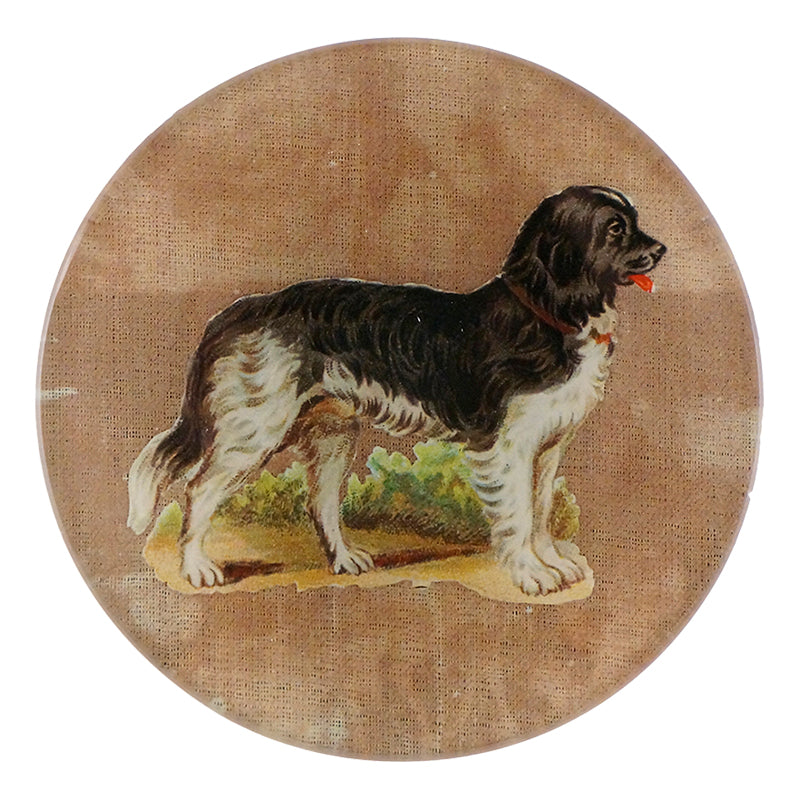 Plate, Doggy - John Derian Decoupage