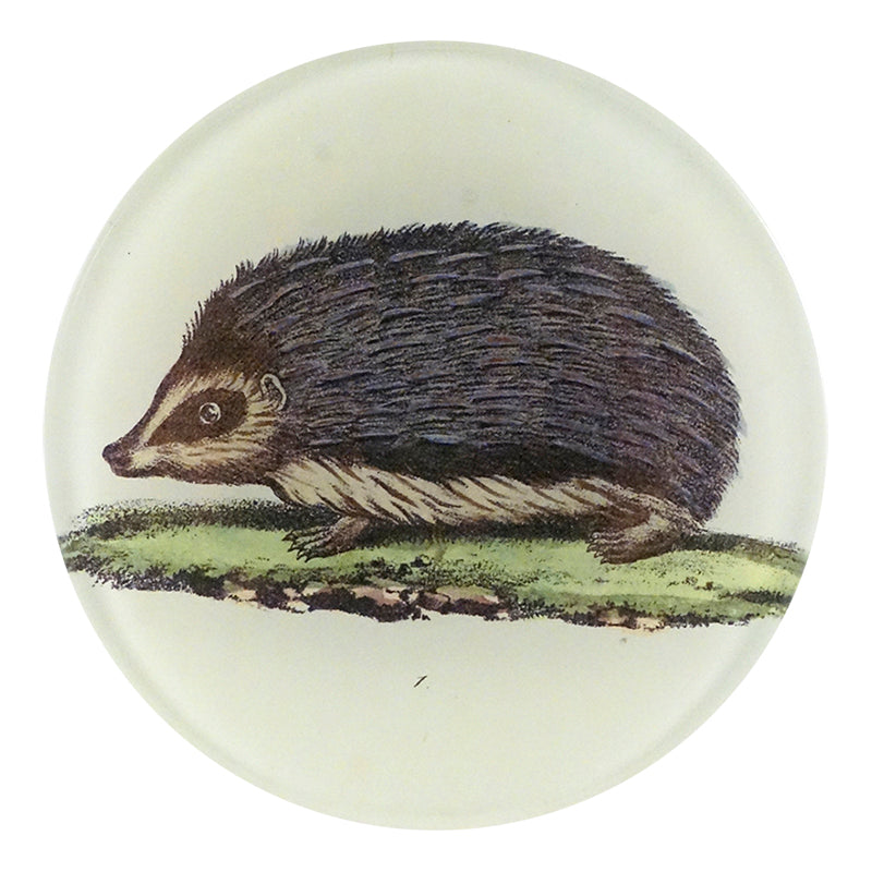 Plate, Hedgehog 4" - John Derian Decoupage