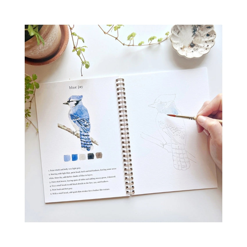 Birds Watercolor Workbook