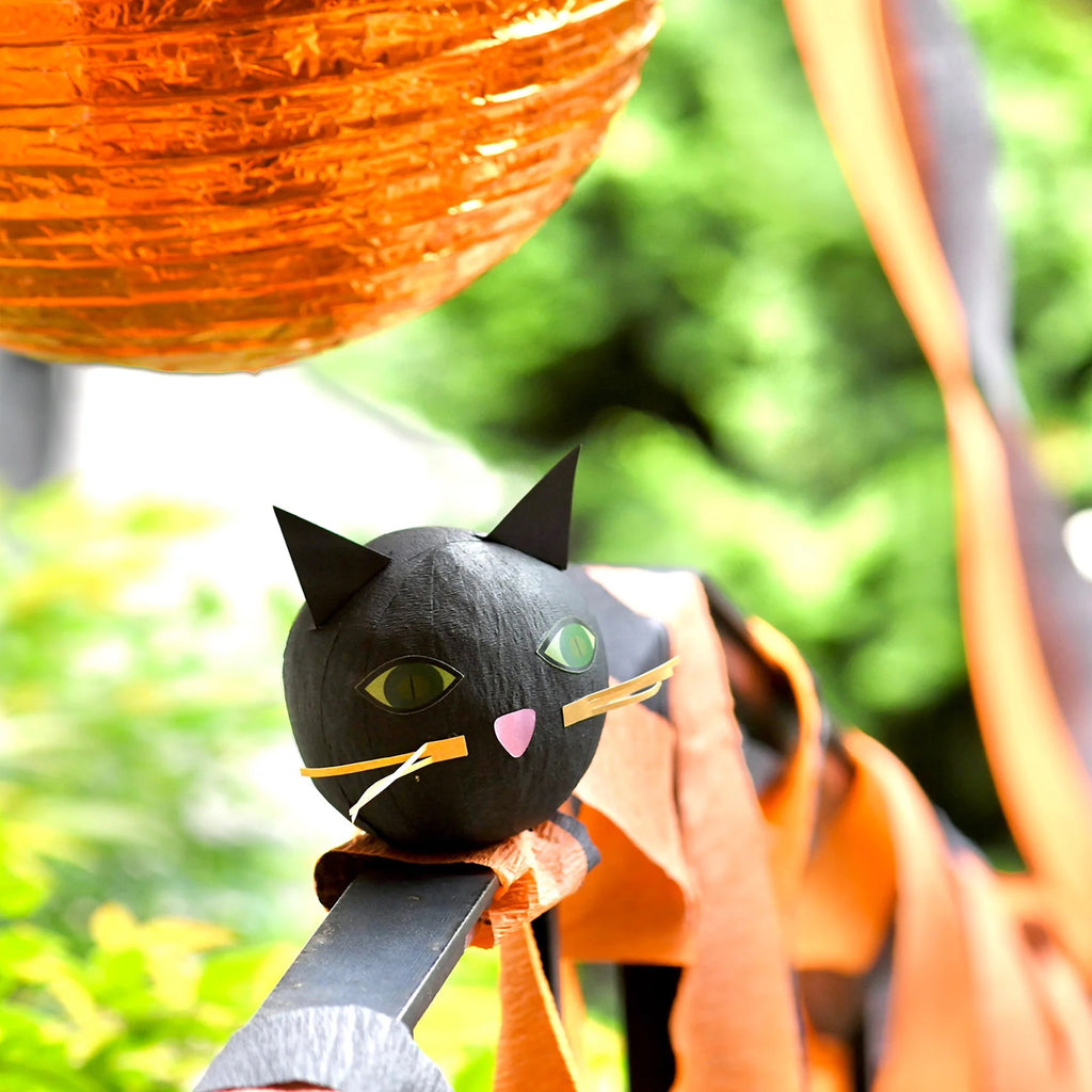 Black Cat Surprise Ball - Lifestyle