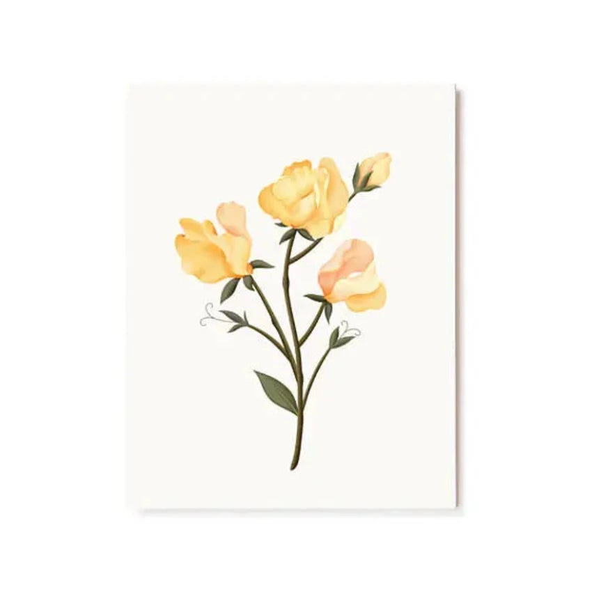 Botanical-Scented-Card-Sweet-Pea