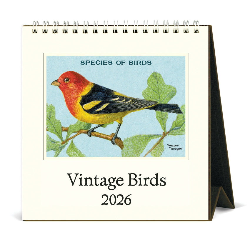 Vintage Birds Desk Calendar 2026 - Cavallini & Co.