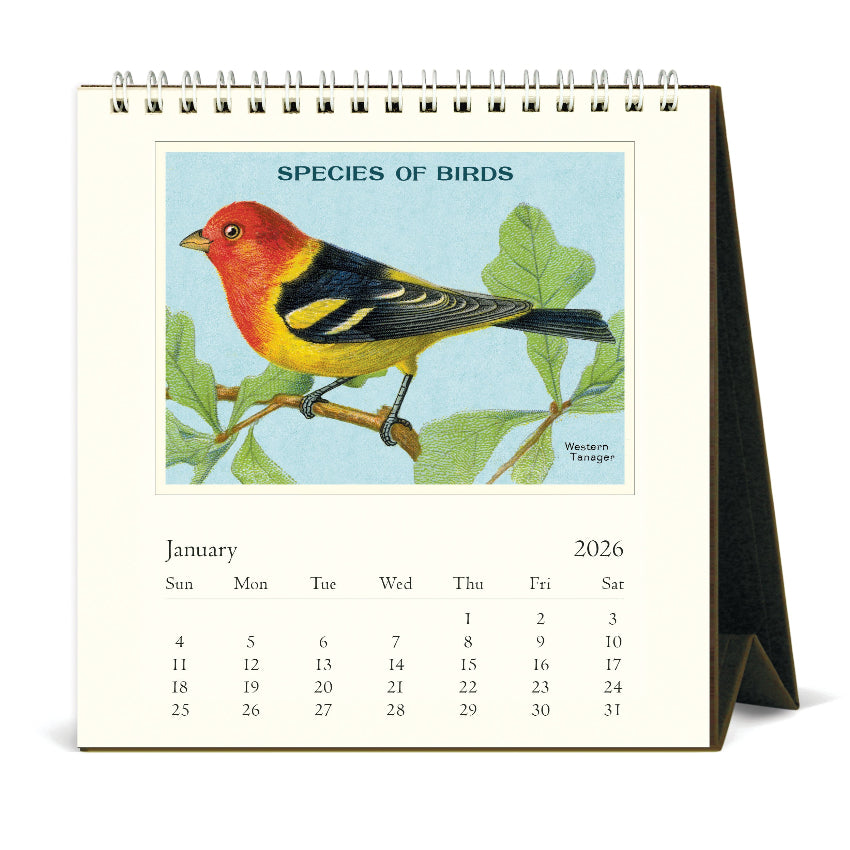 Vintage Birds Desk Calendar 2026 - Cavallini & Co.