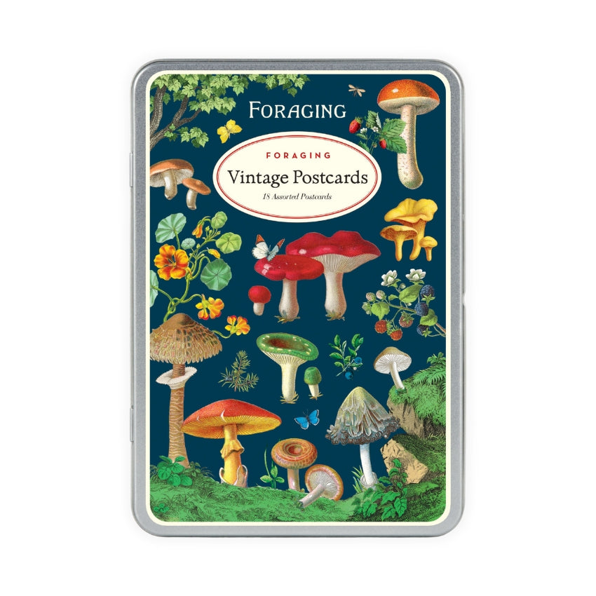 Foraging Postcard Set - Cavallini & Co.