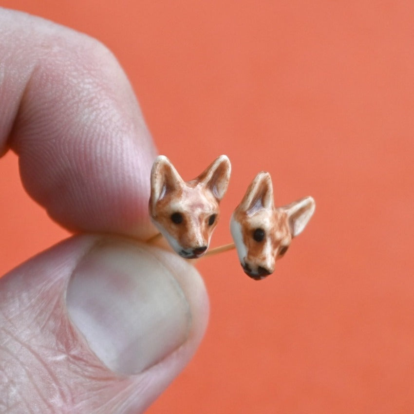 CampHollowRedFox