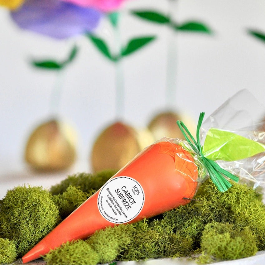 Carrot Surprise Cone - Lifestyle