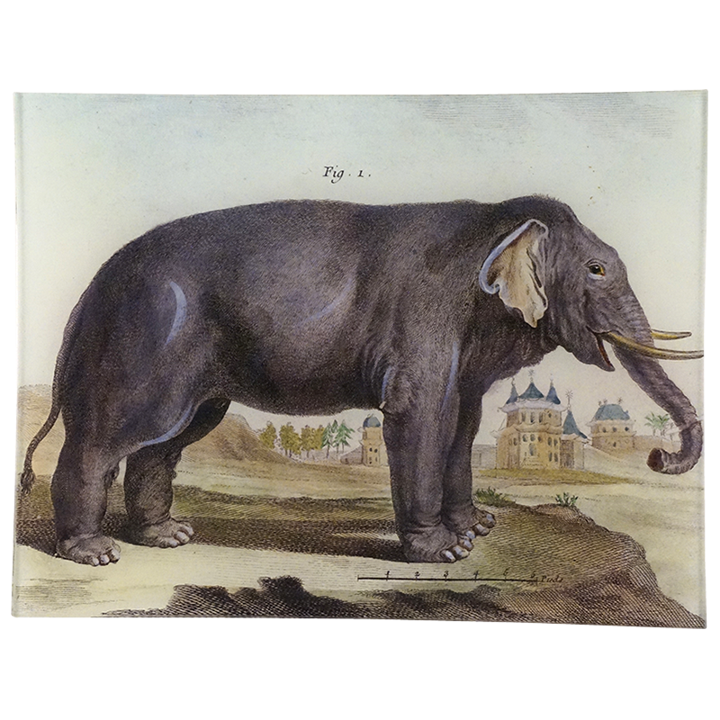 Tray, L'Elephant - John Derian Decoupage