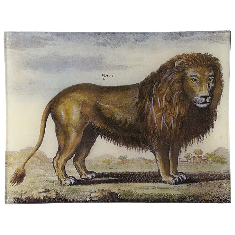 Tray, Le Lion - John Derian Decoupage