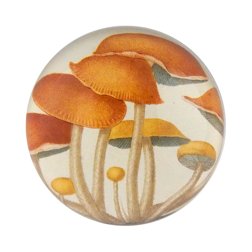 Dome Paperweight, Mushroom Cluster - John Derian Decoupage