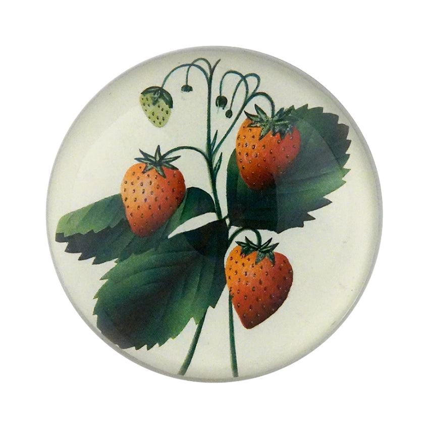 Dome Paperweight, Strawberries - John Derian Decoupage
