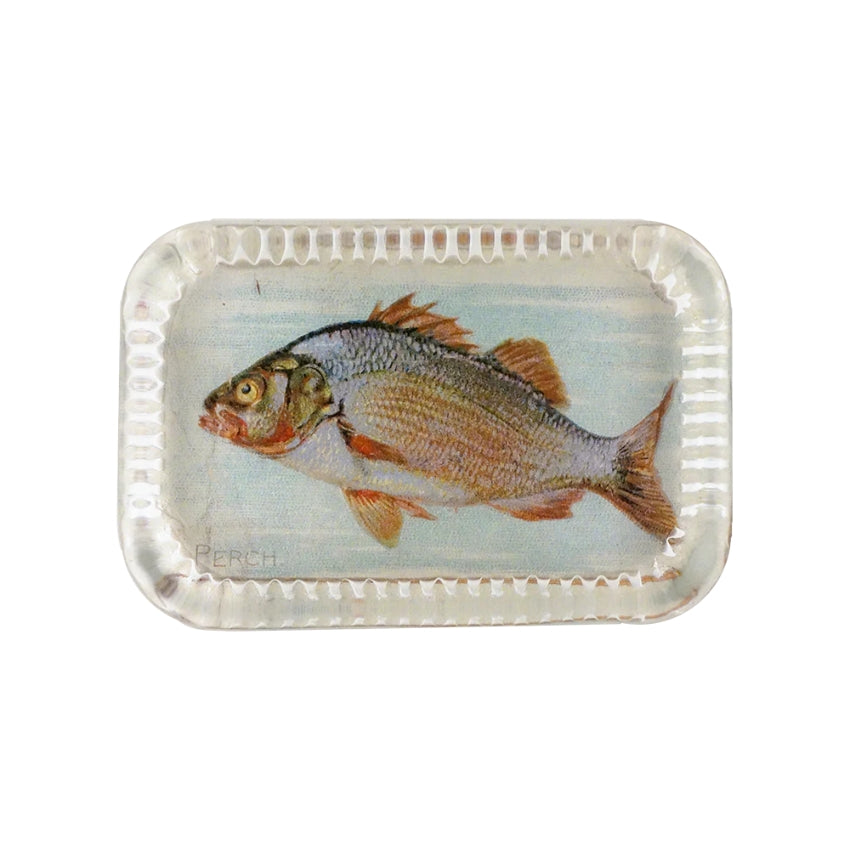 Dotted Edge Paperweight, Perch - John Derian Company – Paper and Grace