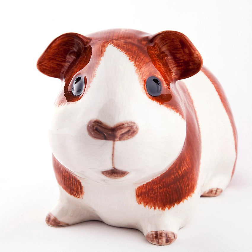 Guinea-Pig-Money-Box-Front
