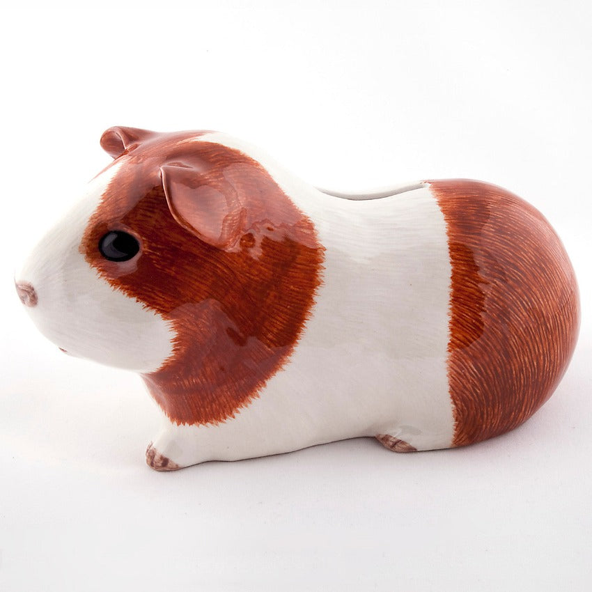 Guinea-Pig-Money-Box-Side