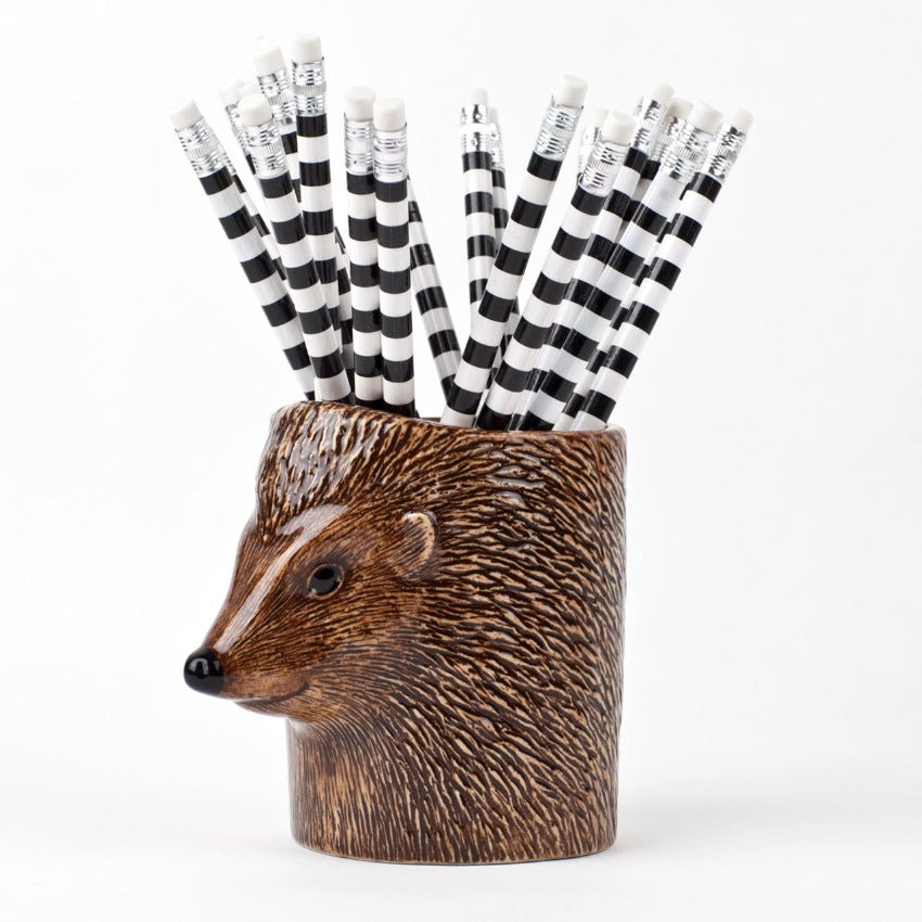 Hedgehog Pencil Pot