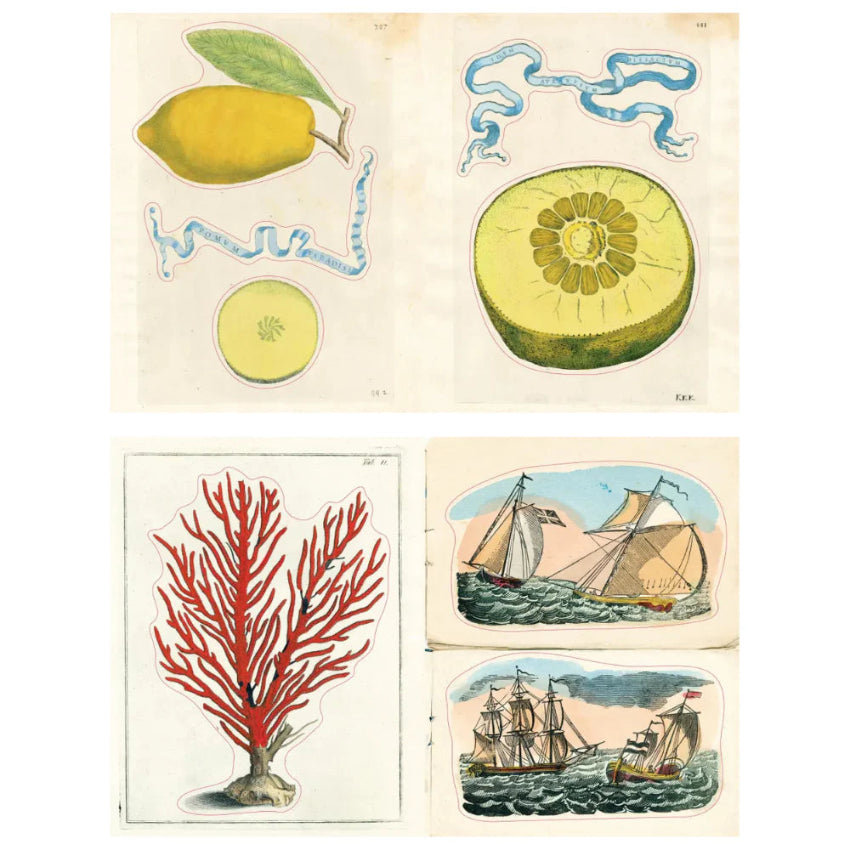 John Derian Sticker Book II