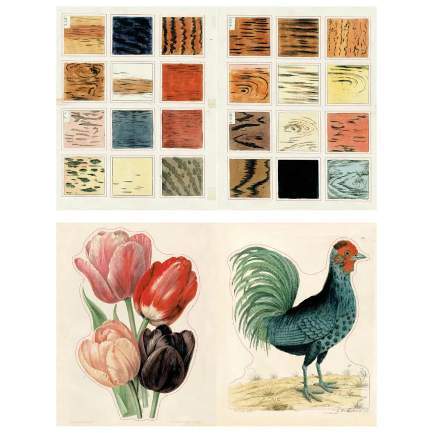 John Derian Sticker Book II – Paper and Grace John Derian Sticker Book II – Paper and Grace