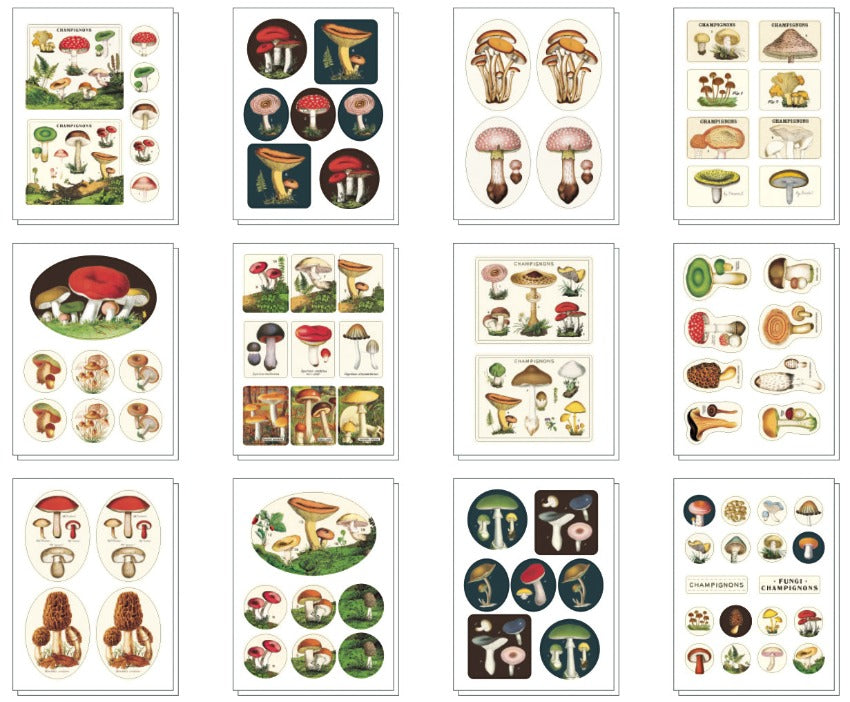 Mushroom Stickers - Variety