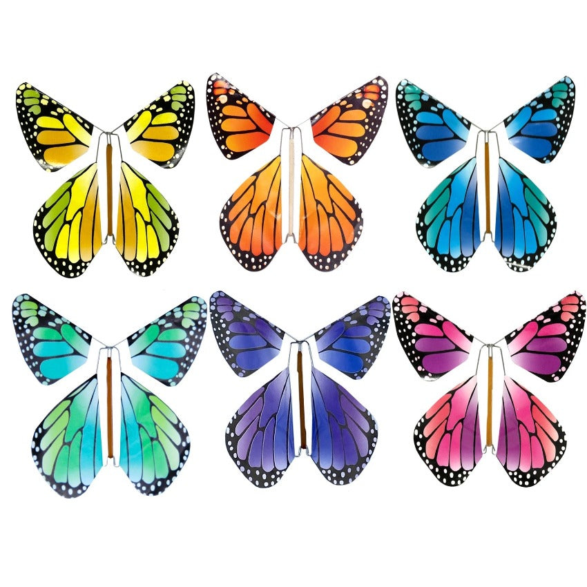 Magic Butterfly - Assorted