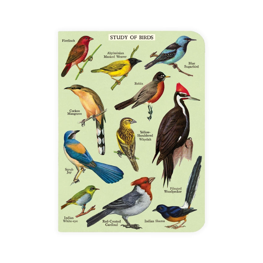 Bird Watching Mini Notebook Set - Cavallini & Co.