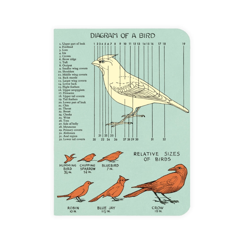 Bird Watching Mini Notebook Set - Cavallini & Co.