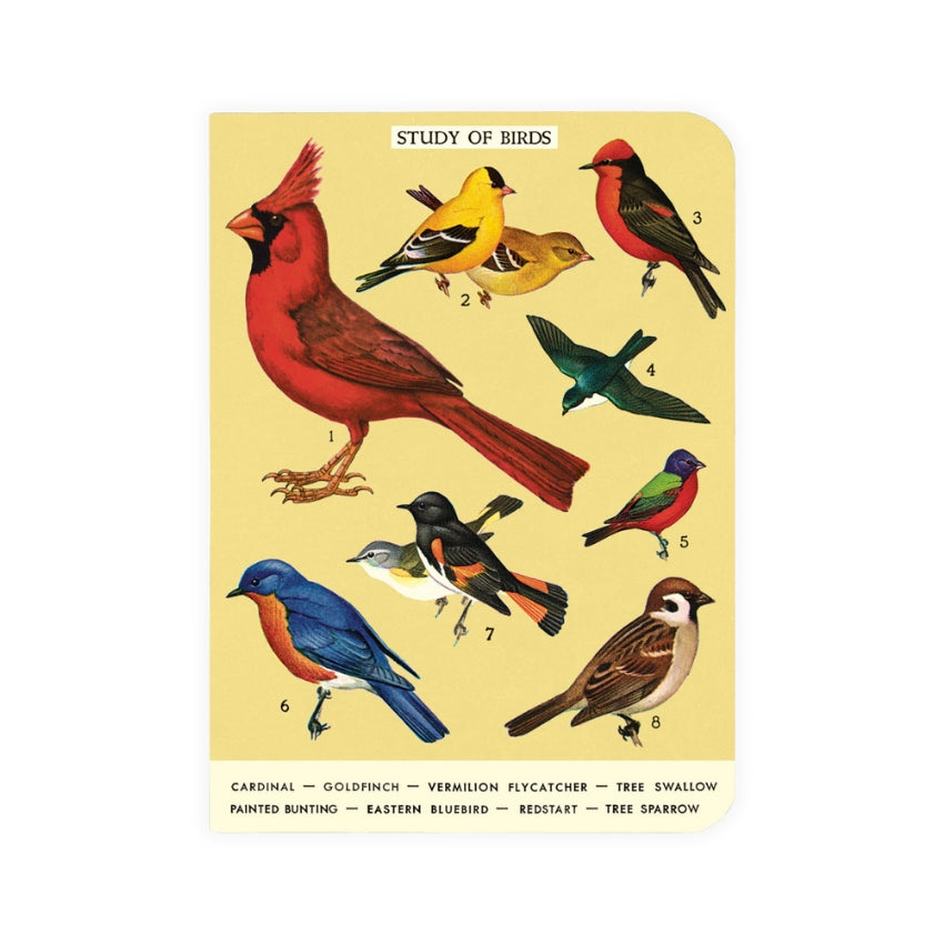 Bird Watching Mini Notebook Set - Cavallini & Co.