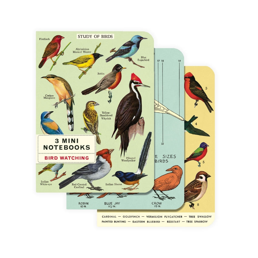 Bird Watching Mini Notebook Set - Cavallini & Co.
