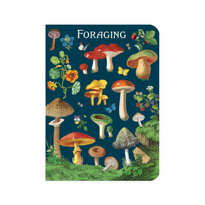 Foraging Mini Notebook Set - Cavallini & Co.