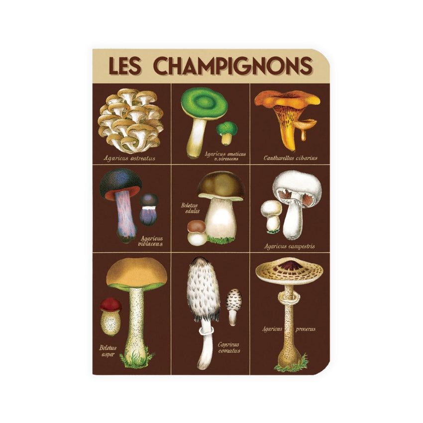 Foraging Mini Notebook Set - Cavallini & Co.