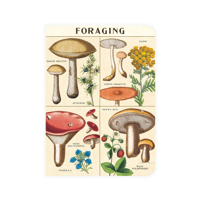 Foraging Mini Notebook Set - Cavallini & Co.