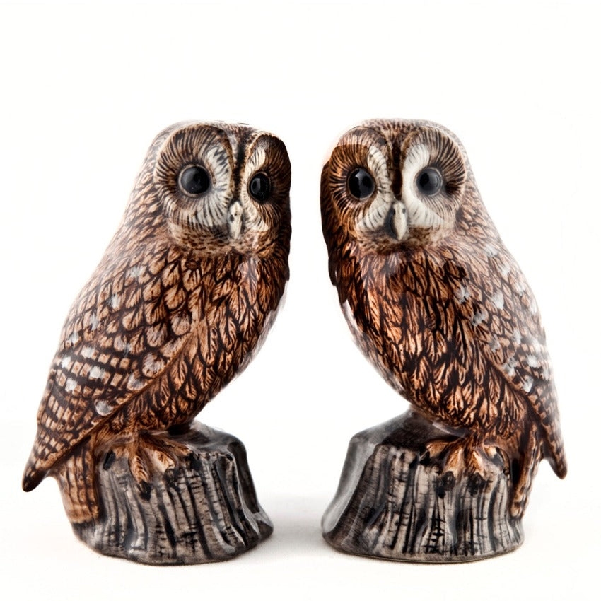 Salt & Pepper - Tawny Owl