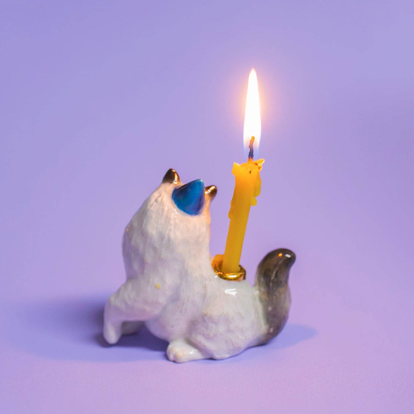 Ragdoll Cat Cake Topper - Camp Hollow