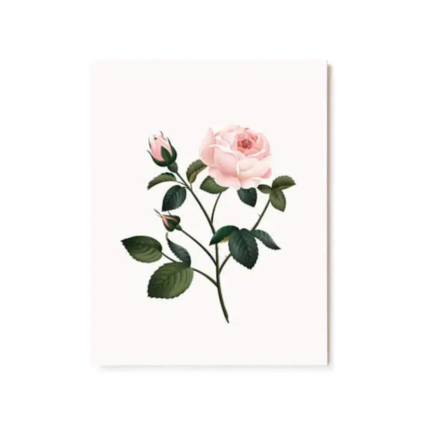 Rose-Scented-Card