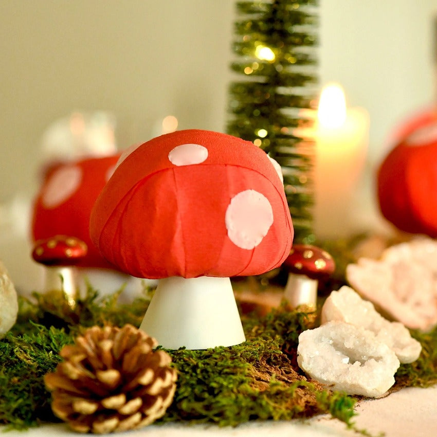 Surprise Ball - Mushroom - Lifestyle