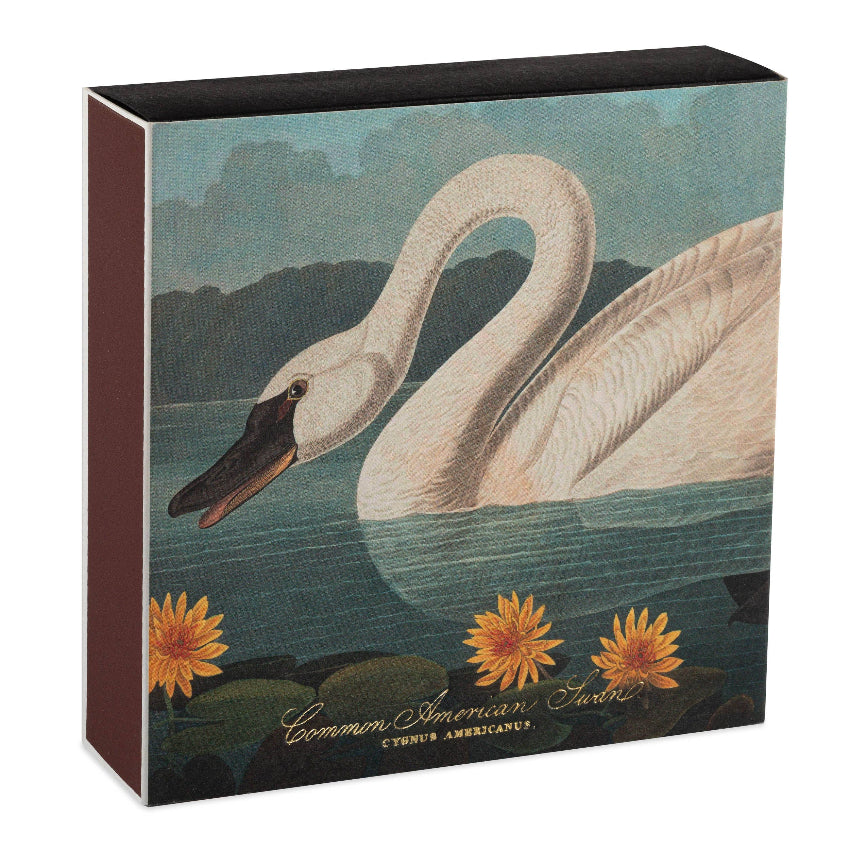 The Common American Swan Square Safety Matches