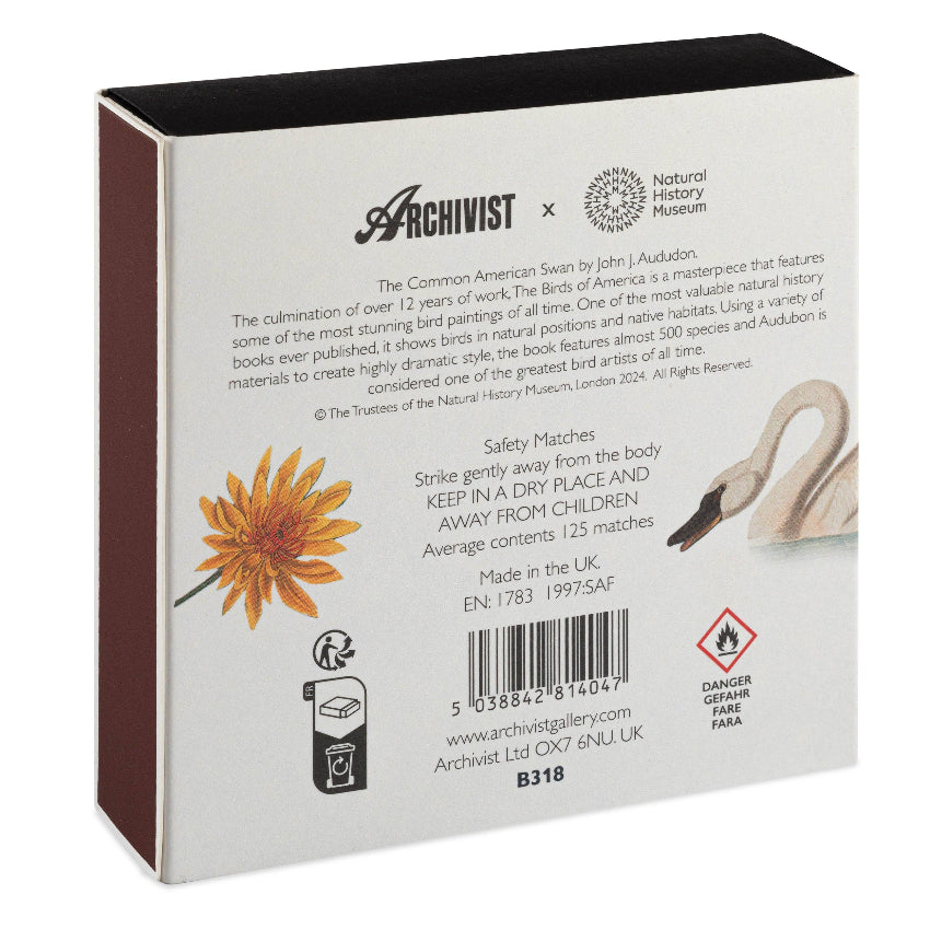 The Common American Swan Square Safety Matches