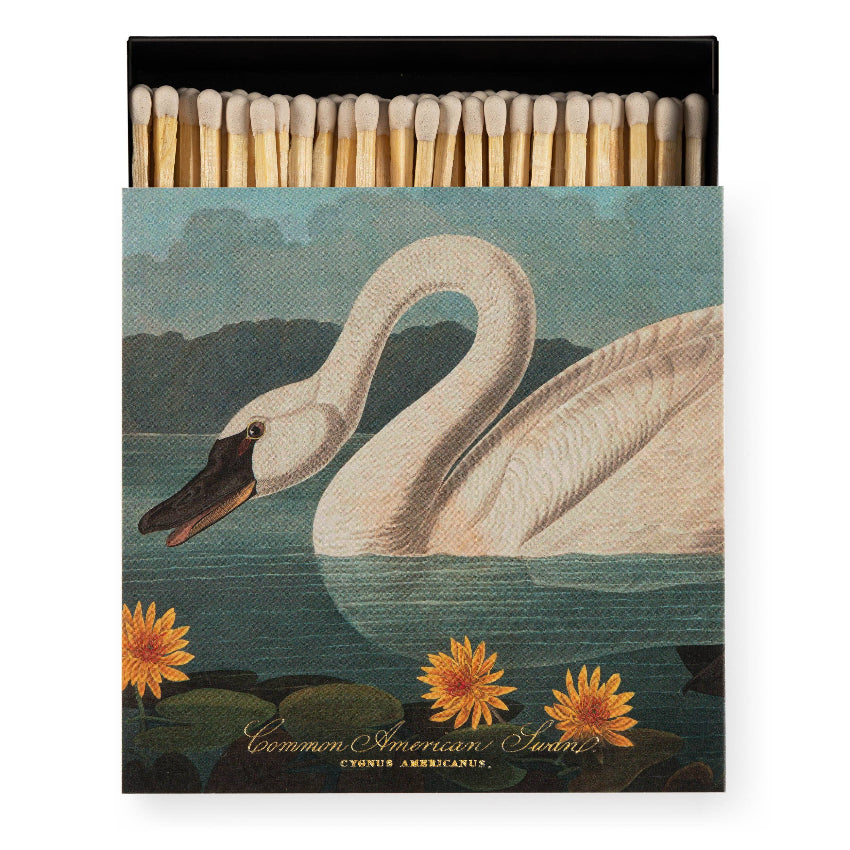 The Common American Swan Square Safety Matches