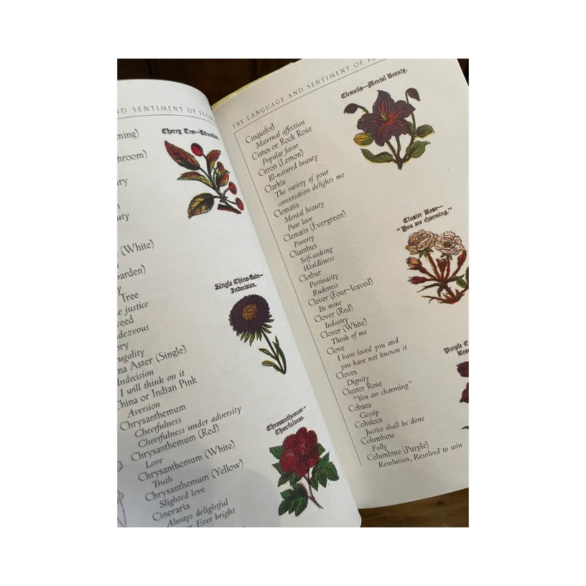 The Language and Sentiment of Flowers Book
