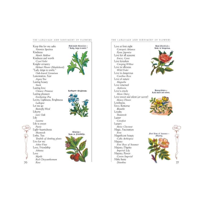 The Language and Sentiment of Flowers Book