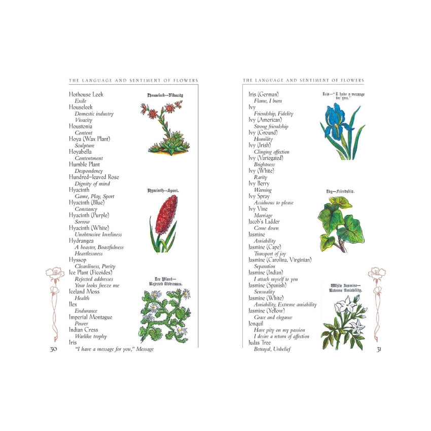 The Language and Sentiment of Flowers Book