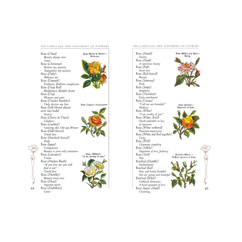 The Language and Sentiment of Flowers Book