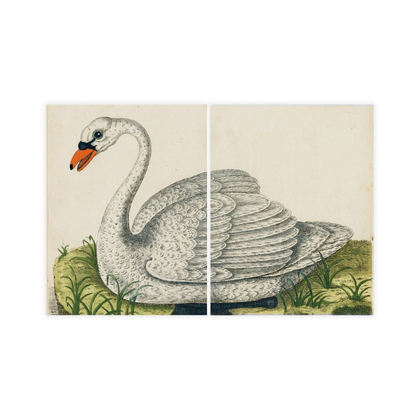 Tray, Swan (page 101 / page 102) - John Derian Decoupage