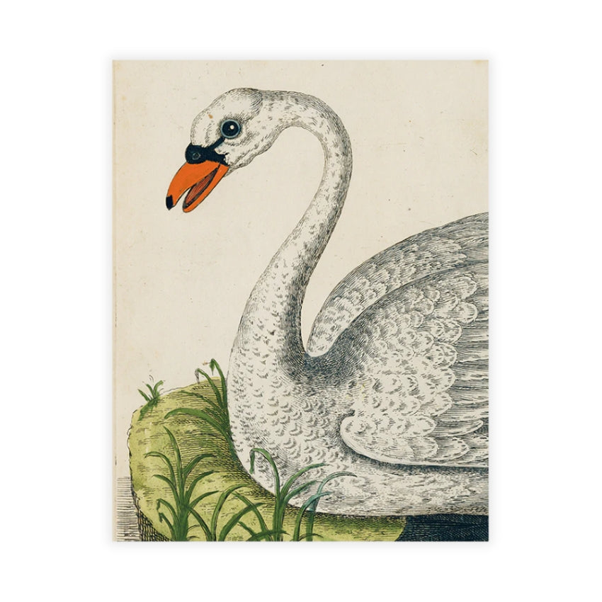 Tray, Swan (p 101) - John Derian Decoupage