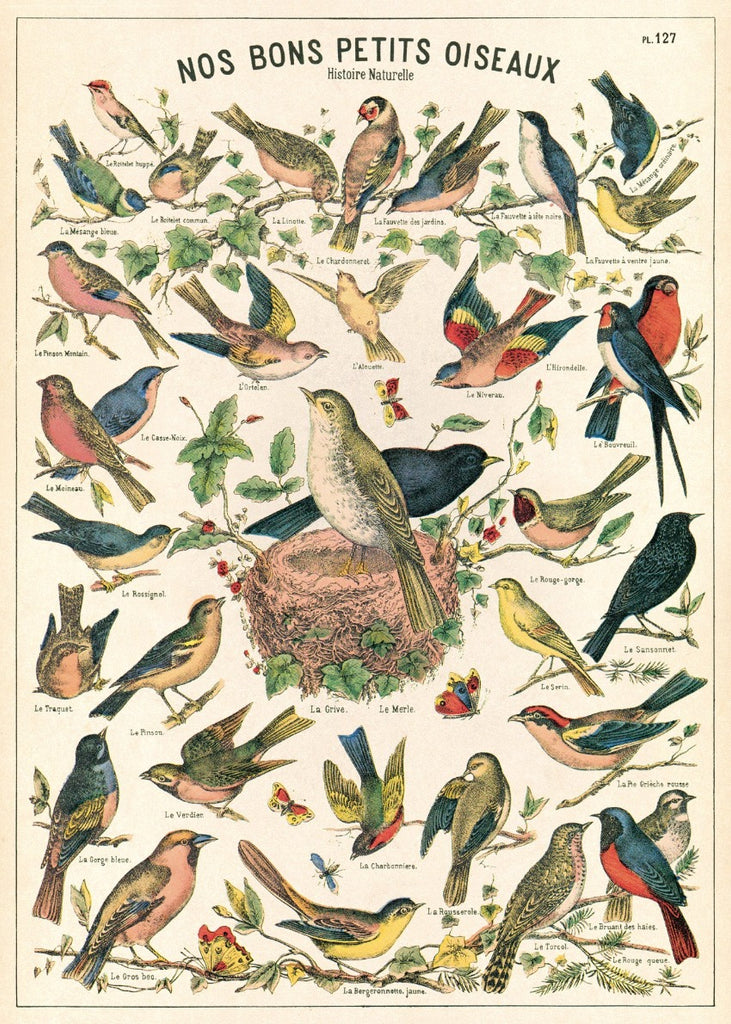 Bird Chart Wrap Sheet
