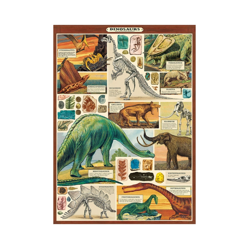 Dinosaurs Edition 2 Wrap Sheet - Cavallini & Co.