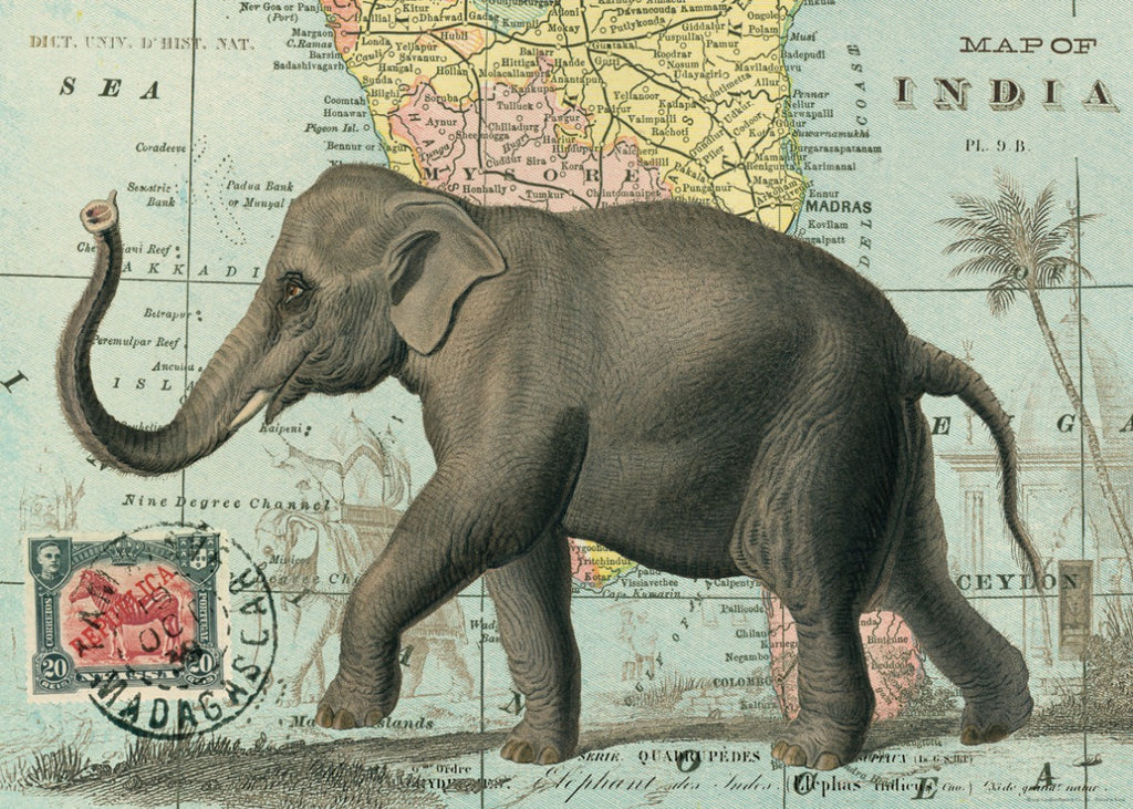 Elephant Wrap Sheet