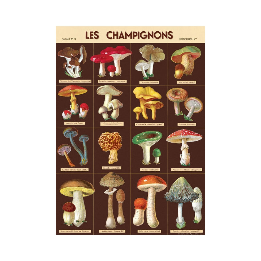 Les Champignons Wrap Sheet - Cavallini & Co.