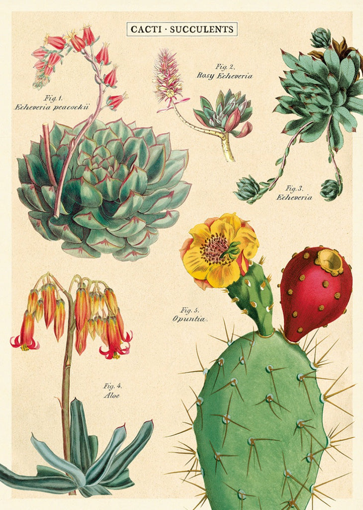 Cacti and Succulents Wrap Sheet