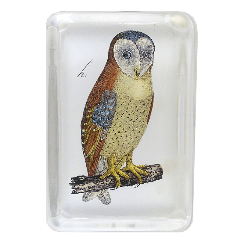 XL Rectangular Paperweight, An Owl - John Derian Decoupage